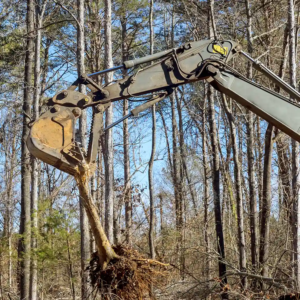 Heavy equipment to clear brush for land development.