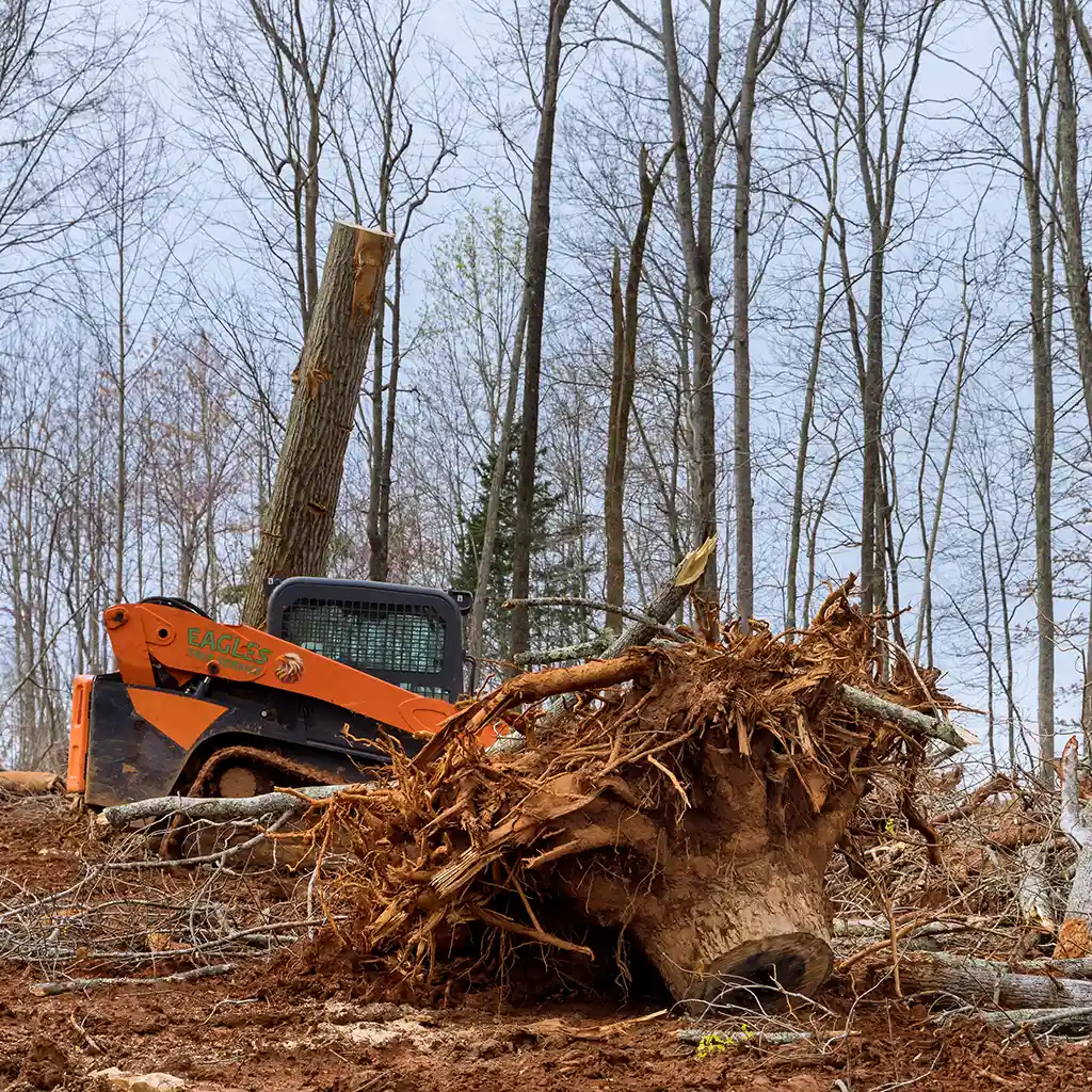 A skid steer clearing land for development